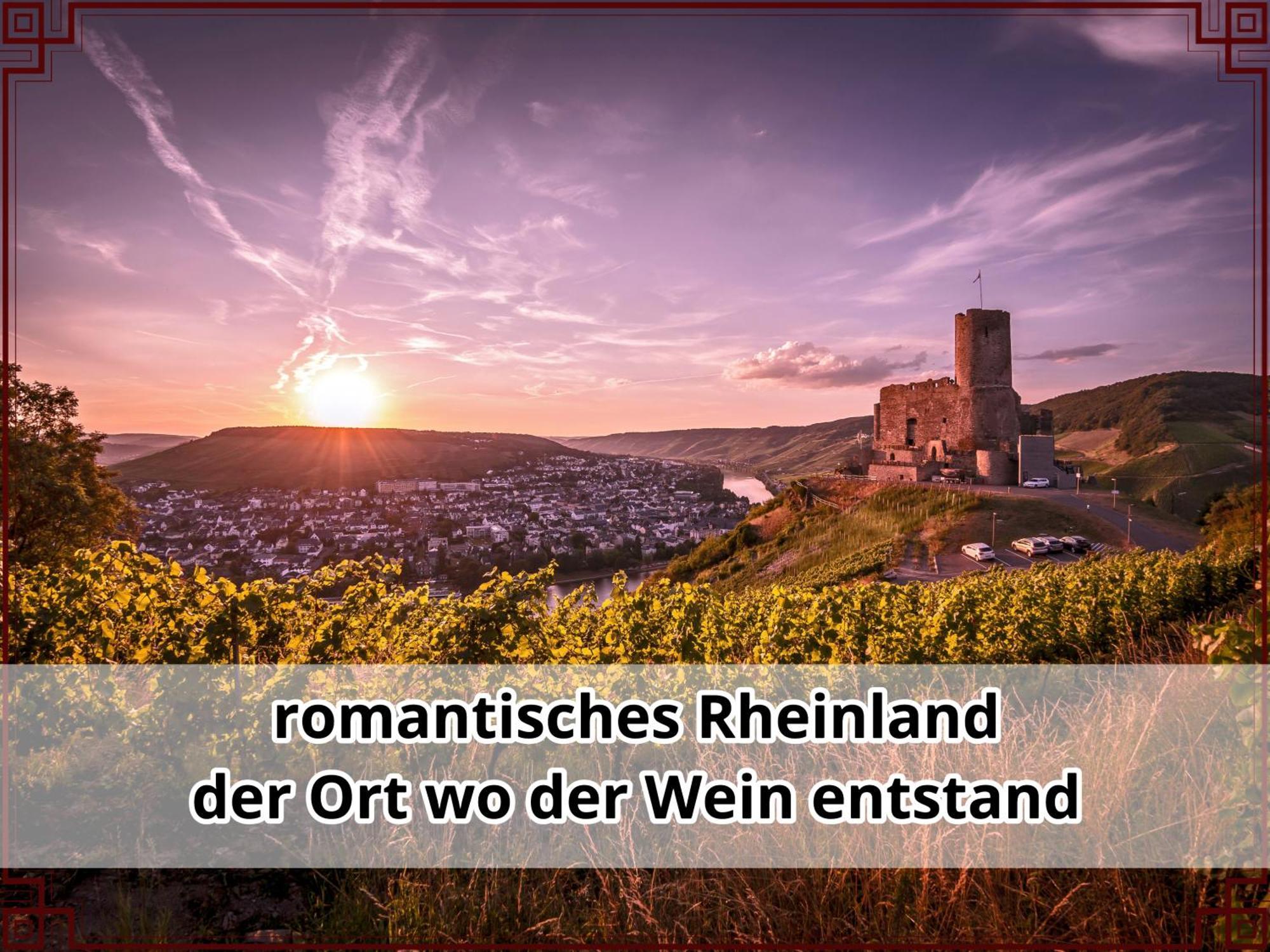 Апартаменты Smallsaigon Mit Guter Anbindung Zwischen Mosel Und Rhein Leiningen